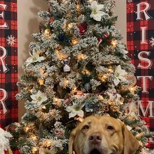 Meet your Posher, Misseyb